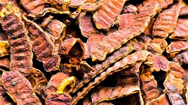 Quả lá - Fructus et Folium Acaciae Concinnae.