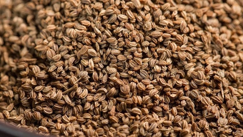 Hình ảnh dược liệu hạt cây Khồm