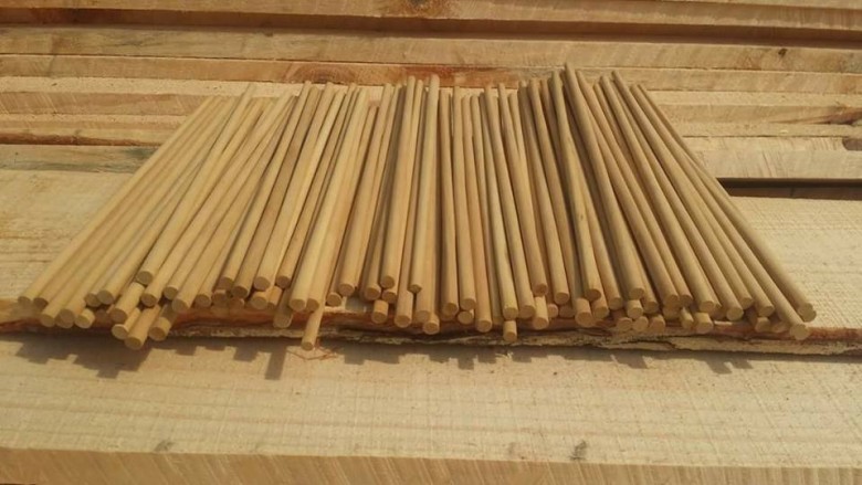 Hình ảnh đua được làm từ gỗ cây Kim giao