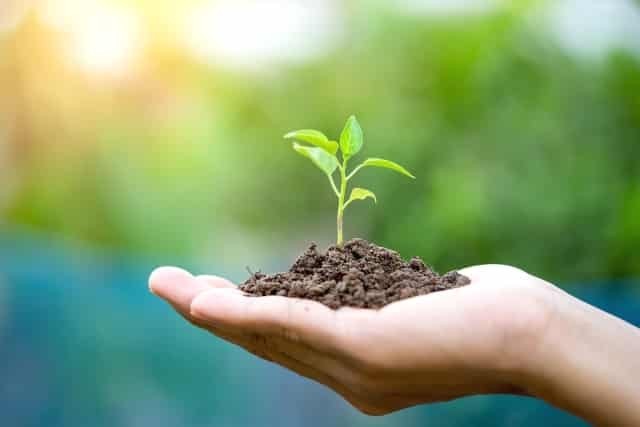 Xin các bạn lắng nghe và chiêm nghiệm”.