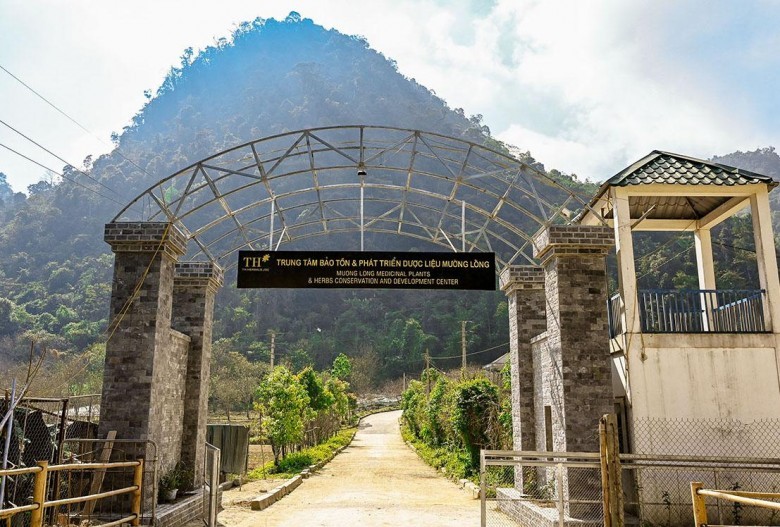 Câu chuyện tại Trung tâm bảo tồn và phát triển dược liệu Mường Lống, tỉnh Nghệ An đáng được nhân rộng