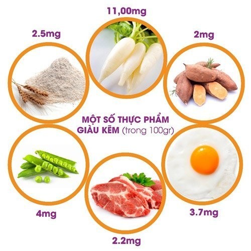 Kẽm là vi chất quan trọng đối với cơ thể, có tác dụng hỗ trợ miễn dịch và thúc đẩy làm lành do vết thương.