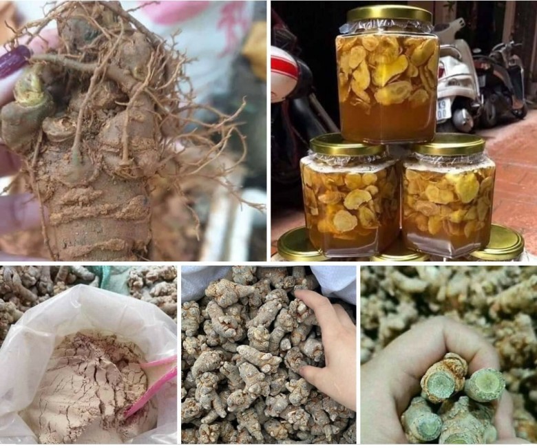 Xin giới thiệu một số bài thuốc và dược thiện từ tam thất: