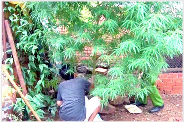 * Tập quán lạc hậu cần loại bỏ