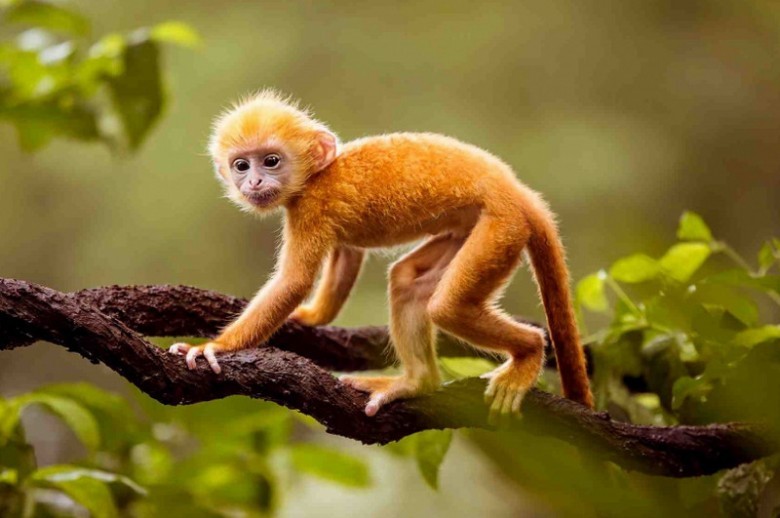 Về tài chính và sự nghiệp