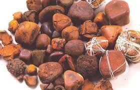 9 phương thuốc cổ truyền có ngưu hoàng