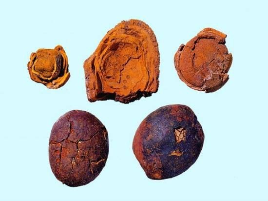 1. Vạn thị ngưu hoàng thanh tâm hoàn:
