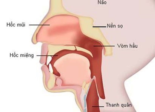 Dấu hiệu nhận biết bệnh ung thư vòm họng