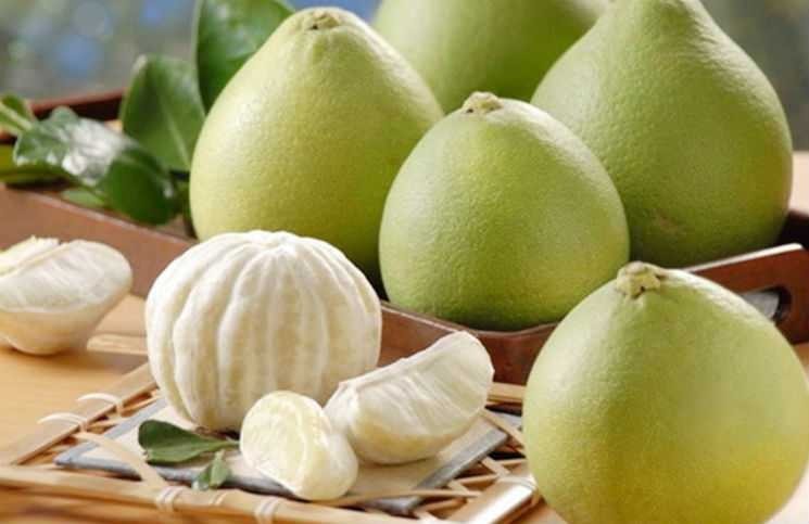 Những công dụng của vỏ bưởi