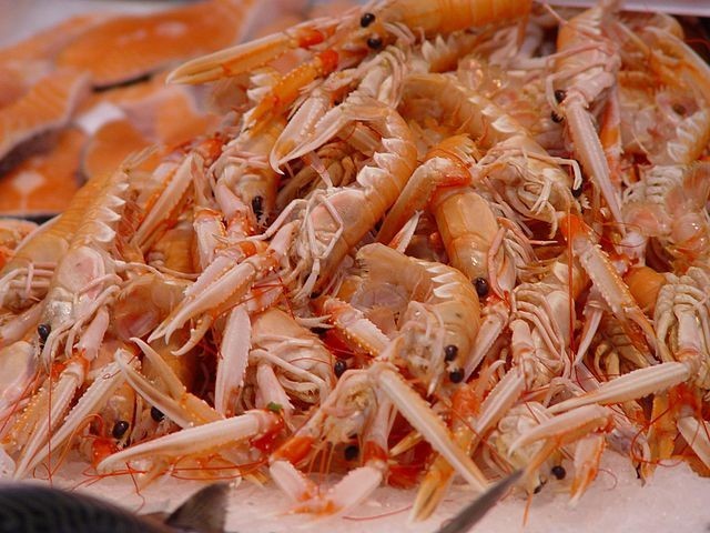 Có đúng canxi có nhiều trong vỏ tôm?