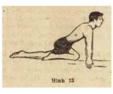 2. Bài tập chào mặt trời