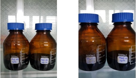 "Sẽ làm giàu được"