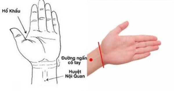 1.Vị trí huyệt nội quan