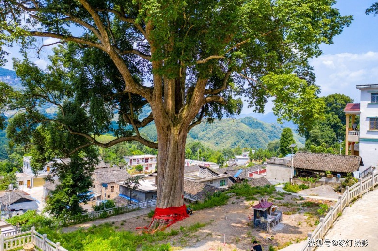 2. Cần điều kiện sống khắt khe