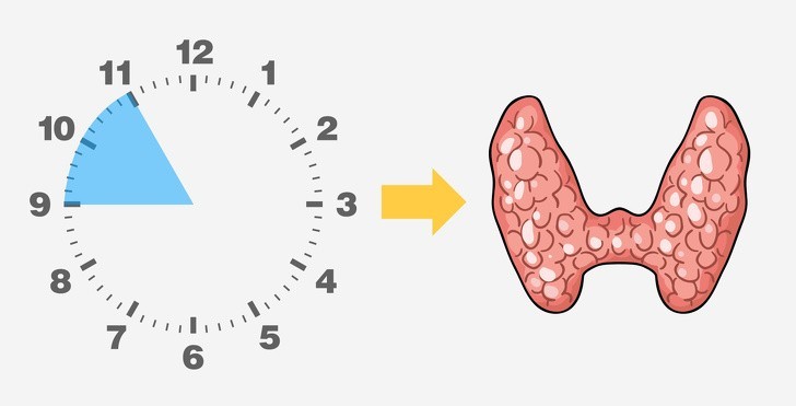 Tỉnh giấc vào 21h-23h: Vấn đề về tuyến giáp