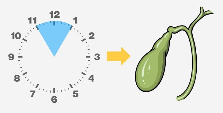 Tỉnh giấc vào 23h-1h: Vấn đề về túi mật