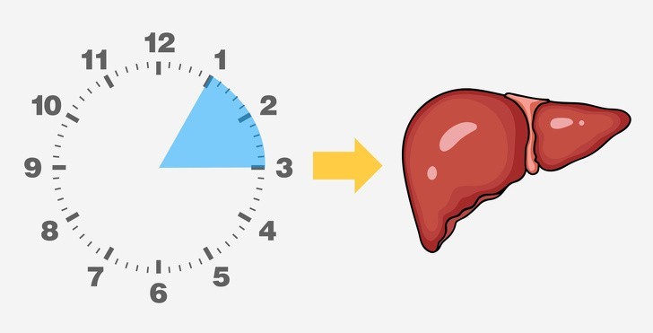 Tỉnh giấc vào 1h-3h: Vấn đề về gan