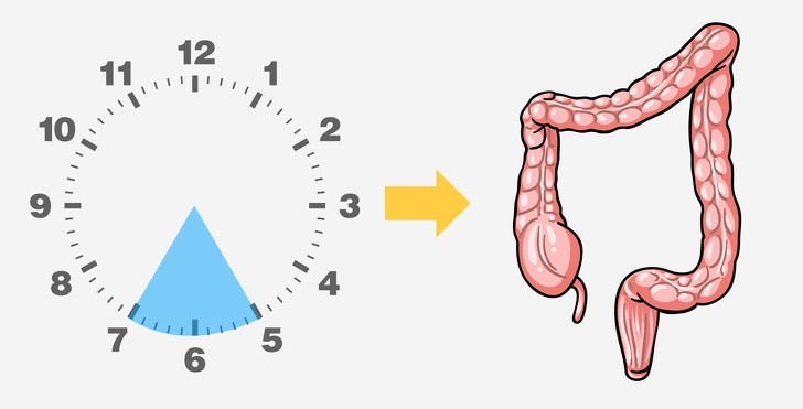 Tỉnh giấc vào 5h-7h: Vấn đề về ruột già
