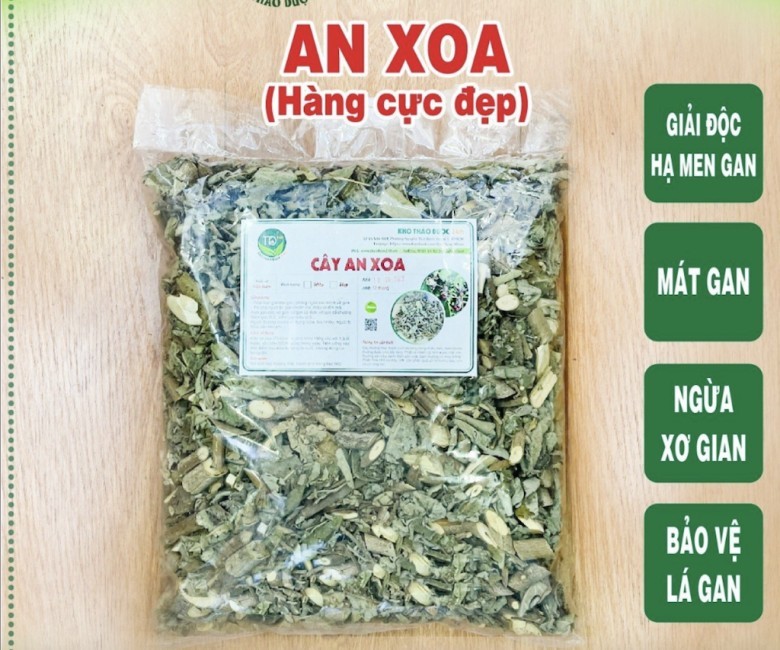 Mua Cây An Xoa Ở Đâu?