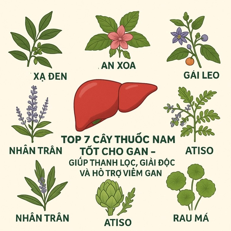 1. Giới thiệu