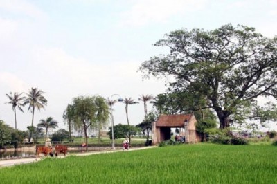 Đến làng cổ Đường Lâm ăn gì ngon