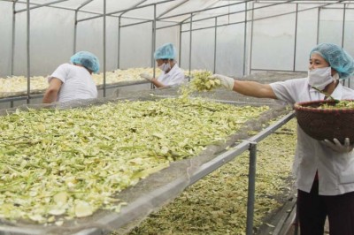 Đề xuất 3 danh mục dược liệu phải đăng ký lưu hành ở Việt Nam