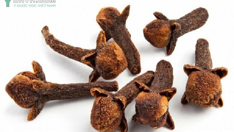 Bài thuốc Đông Y Chữa đau nhức xương khớp do thời tiết với cây Dược Liệu đinh hương