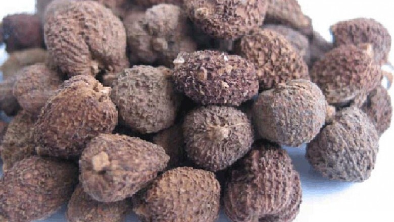 Quy trình kỹ thuật khai thác và bảo quản sa nhân tím
