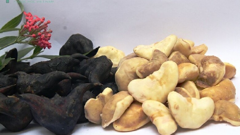 Những Lợi ích và dưỡng chất không ngờ khi ăn củ Ấu