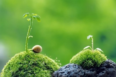 16 câu nói giúp cuộc đời thêm tươi sáng