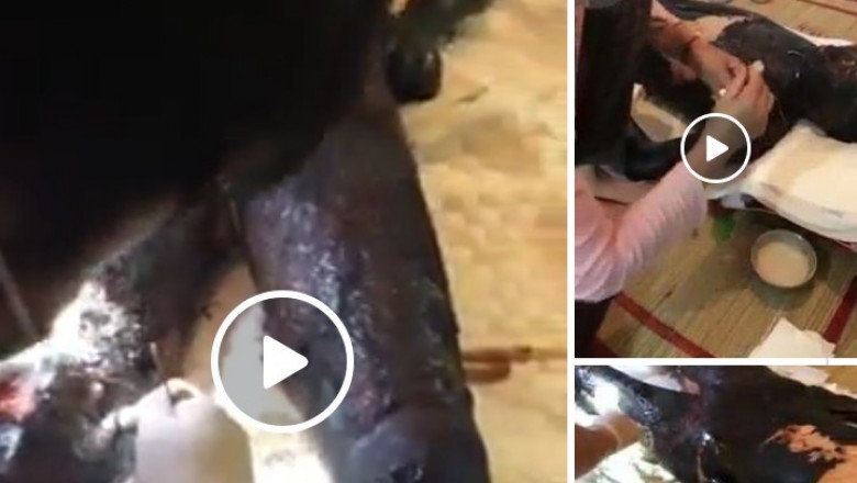 Kêu gọi từ thiện trực tiếp cho em Hiền tại Tam Đảo, Vĩnh Phúc