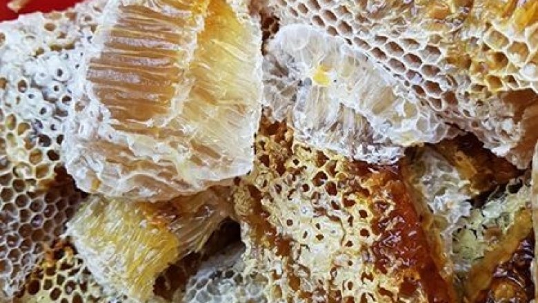 Mật ong là gì ?