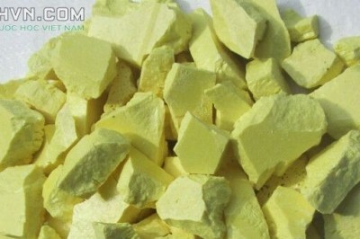Dược liệu sấy lưu huỳnh có gây hại cho người dùng không: theo GS.TS. Phạm Xuân Sinh