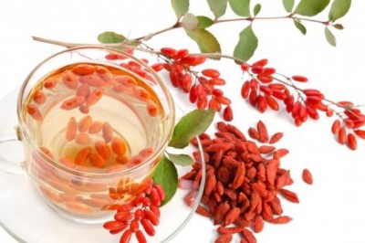 Câu kỷ tử loại quả tinh hoa trời đất: theo BS. HOÀNG XUÂN ĐẠI