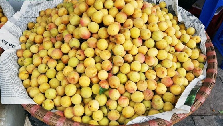 Tác dụng ít biết từ quả mơ: theo BS. XUÂN ĐỒNG