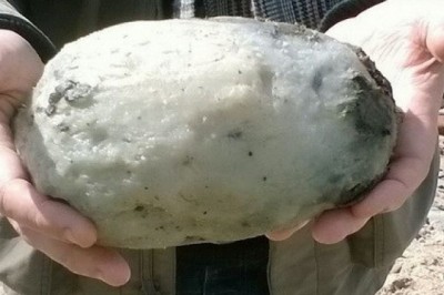 Long diên hương dùng làm gì, Tại sao long diên hương đắt và quý hơn vàng