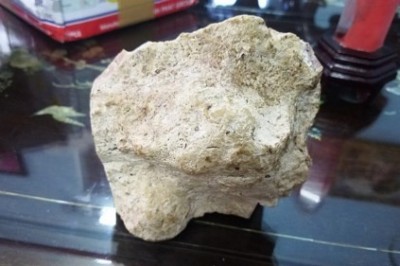 Long diên hương là gì ?