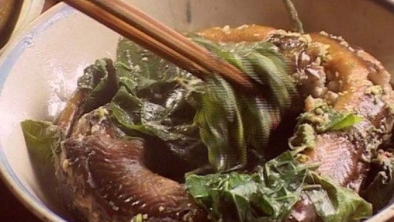 Những món ngon đồng quê chế biến từ rau cách, cây lá cách