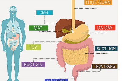 Phát hiện sớm ung thư tiêu hóa cần làm những xét nghiệm gì?