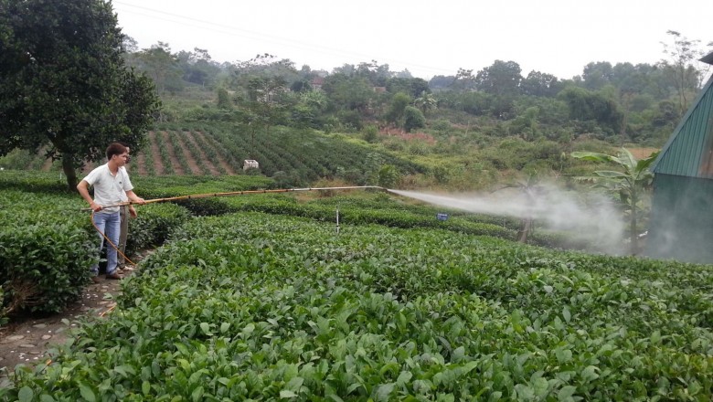 Dư lượng thuốc trừ sâu trong thực phẩm ảnh hưởng gì đến sức khỏe?