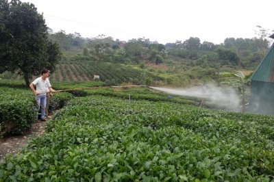 Dư lượng thuốc trừ sâu trong thực phẩm ảnh hưởng gì đến sức khỏe?