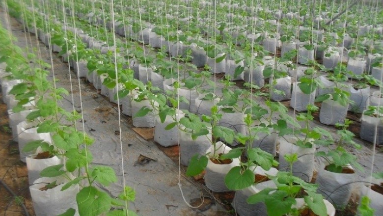 Mang mô hình nông nghiệp công nghệ cao đến WHISE 2018