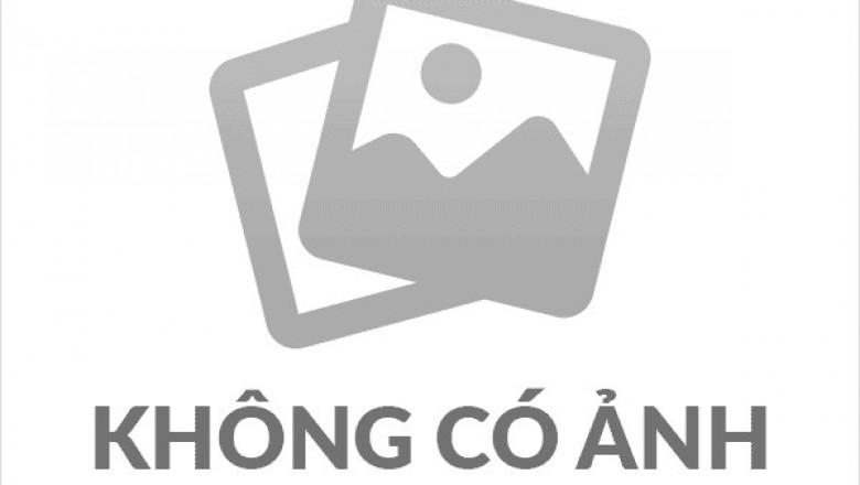 Cây dược liệu cây Đuôi chồn Nam Bộ - Uraria cochinchinensis Schindler