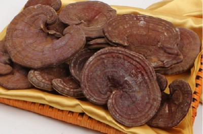 Sự thật về công dụng của Nấm Linh Chi. Loại nấm này không có nhiều tác dụng như đồn thổi