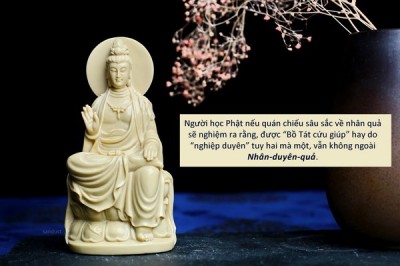 Cầu nguyện và linh ứng: Có mâu thuẫn với nhân quả?