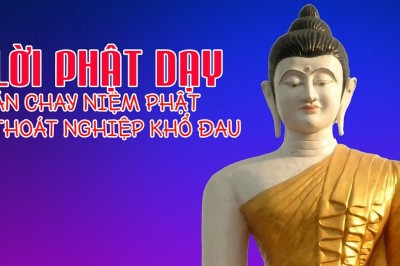Những Lời Phật Dạy: Ăn chay niệm phật thoát nghiệp khổ đau và Giải đáp về việc ăn chay