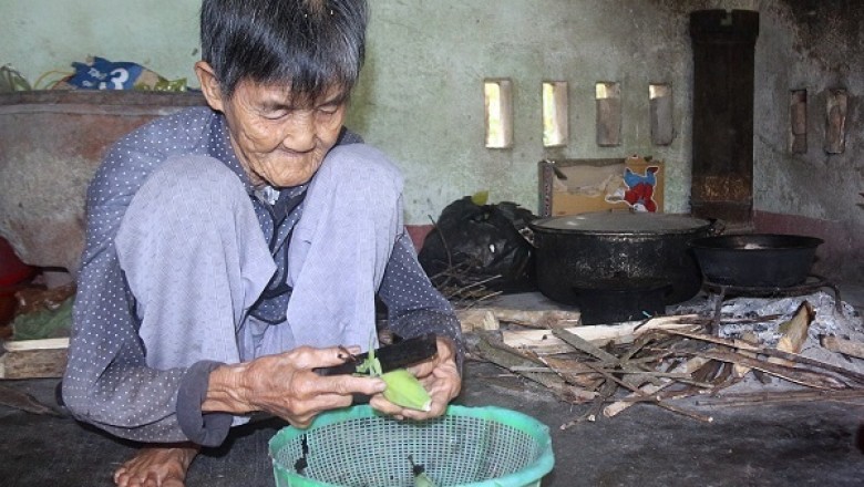 Không thể chấp nhận việc nhà Báo lợi dụng cụ Bà Ăn chay trường để câu Like