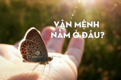 Hiểu rõ vận mệnh để làm chủ vận mệnh: 9 cách thay đổi số phận theo Phật giáo