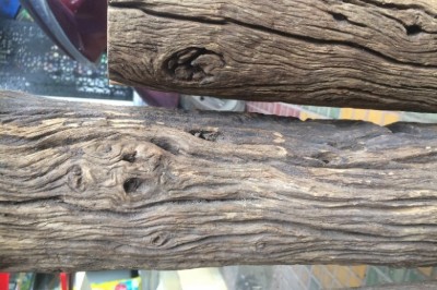 Cây dược liệu cây Huỳnh đường, Huỳnh đàng - Dysoxylum loureiri Pierre