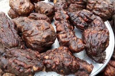 Tóc đen óng, đẹp da nhờ cây dược liệu Hà Thủ Ô